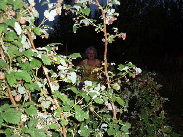 Татьяна Варницкая