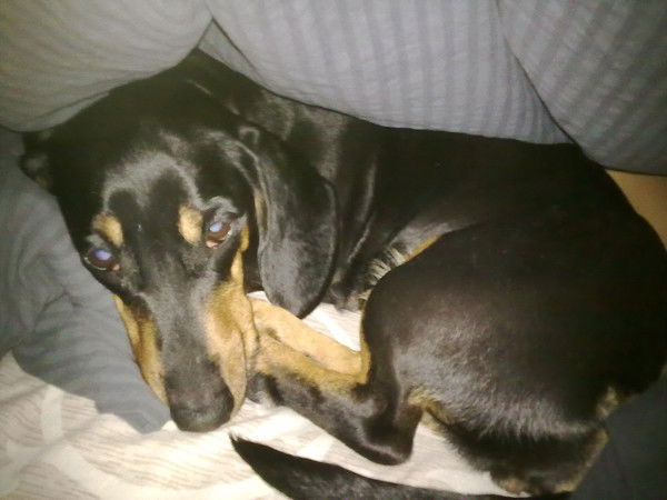 Дарья Демьяненко