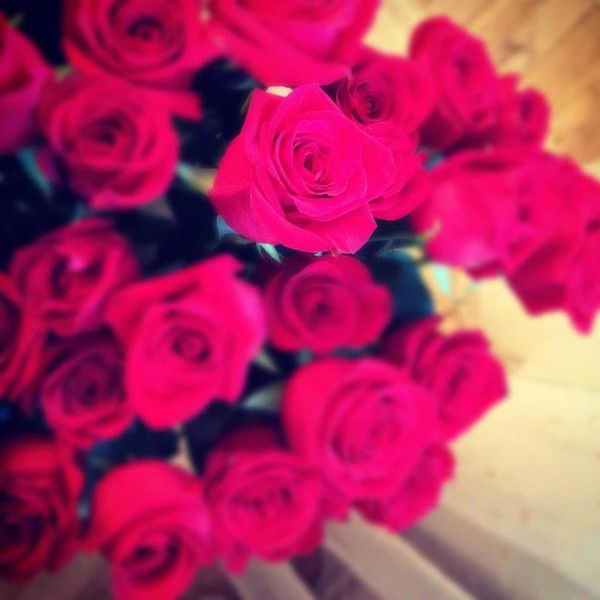 **monica L'emonchik Ola**