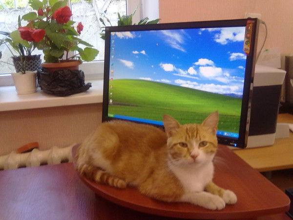 Отдел Обращений