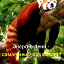 Fox0485