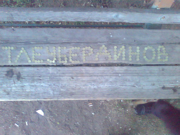 Адик) Тлеубердинов