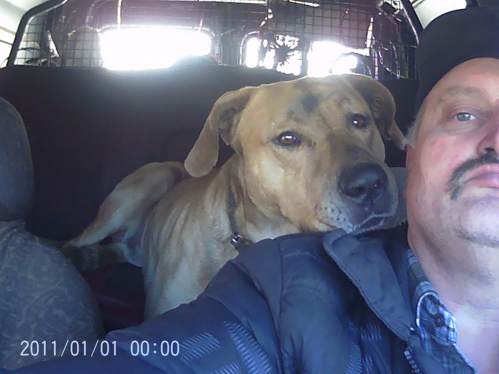 Богдан Загродний