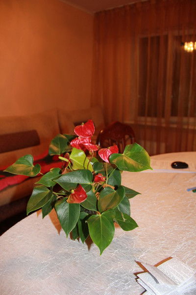 Нуралы Шериев