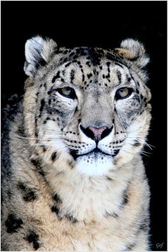 Артуш Месропян