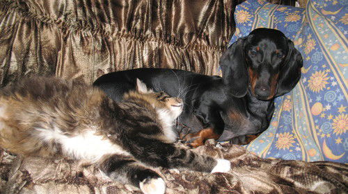 Ольга Граблева