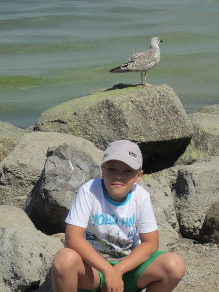 Кирилл Мельников