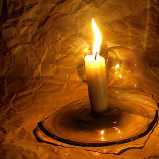 Алекс Орлов