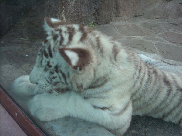 Людмила Усенко