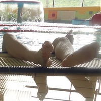 Андрей Камоза