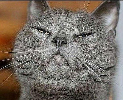 Дарья Пузанова