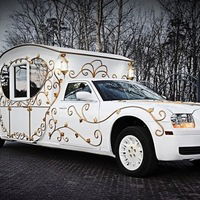 Анна Петрова