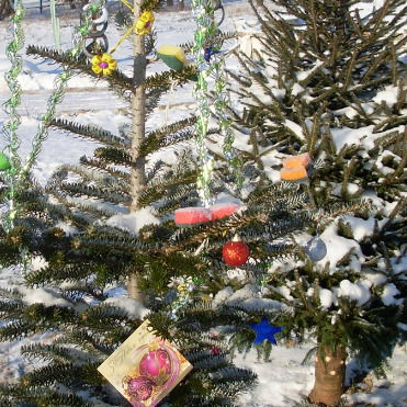 Вадим Головко