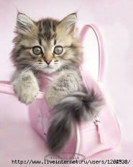 Виктория Потапейко