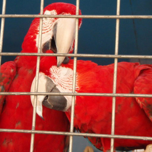 Кеша Брагин