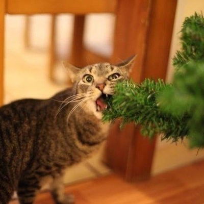 Андрей Иванов