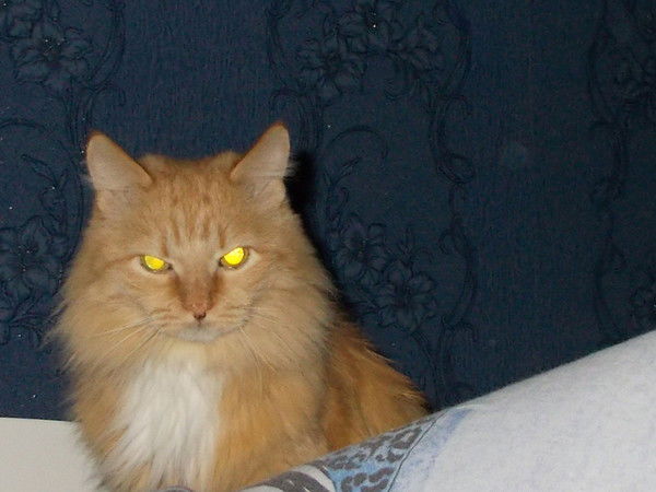 Вячеслав Рыжков