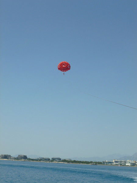 Елена Евтифеева