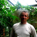 Александр Фадеев