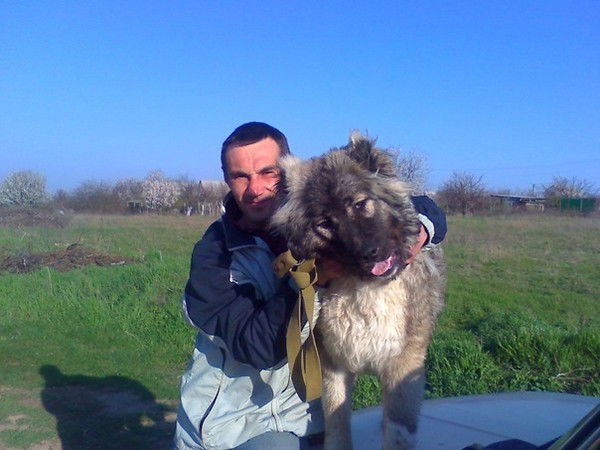 Станислав Островерхов