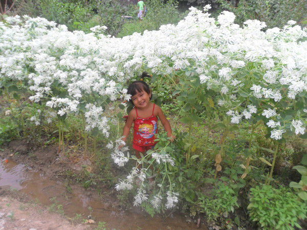 Меринса Бектемирова