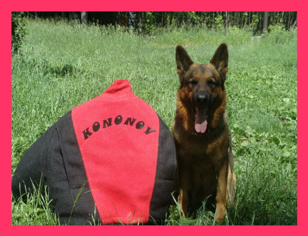 Александр Кононов