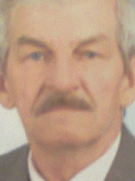 Владимир Грамзин