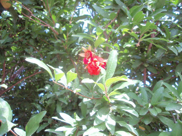 Татьяна Мазеева