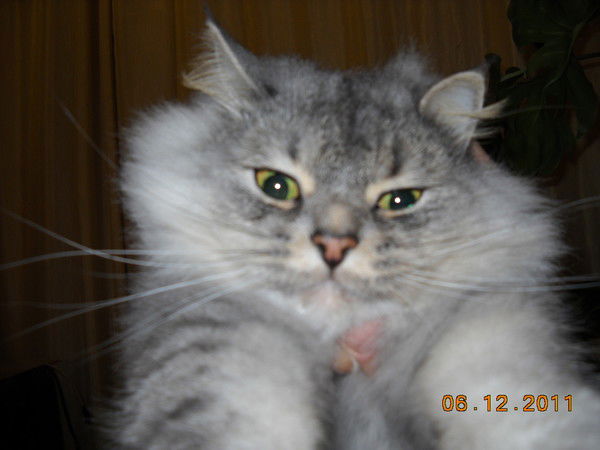 Геннадий Безрученко