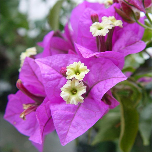 Татьяна Загребельная