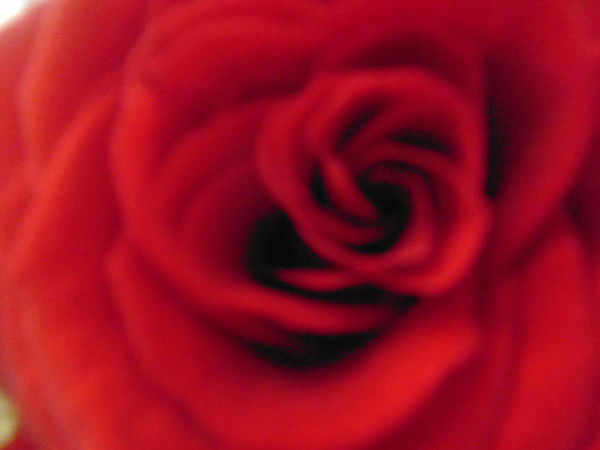 Антонина Фёдорова