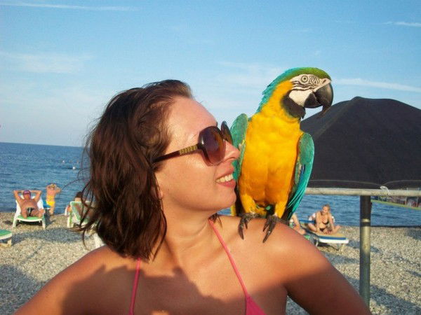 Анна Бородина