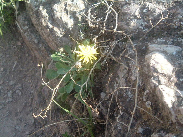 Юля Черняева