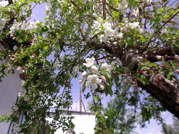 Жансая Туякбаева