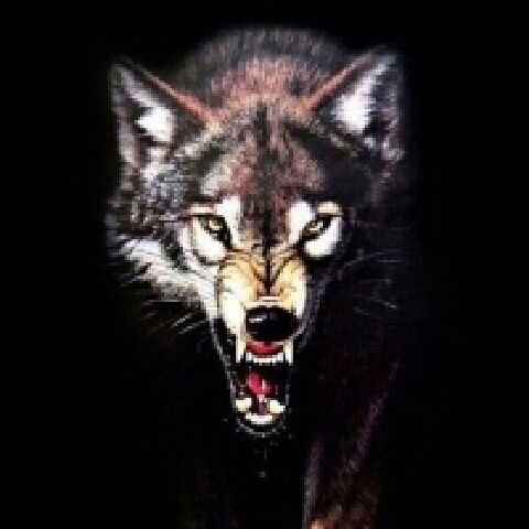 Карина Малкова