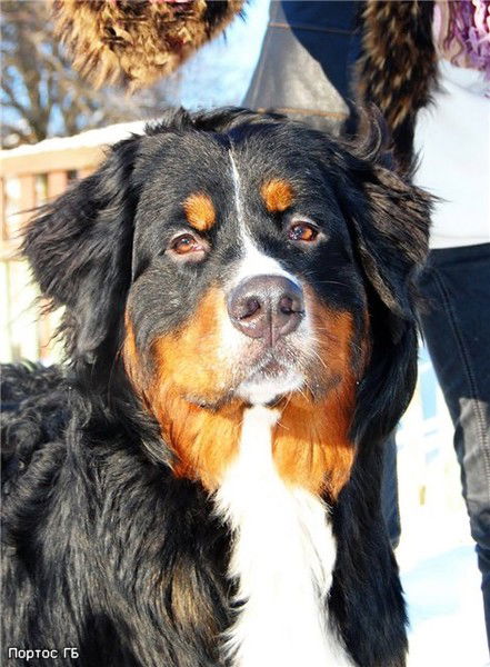 Светлана Михалевич