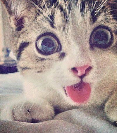 Виталина Бабий