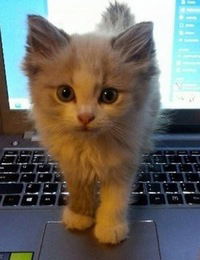 Тёма Кузьмич