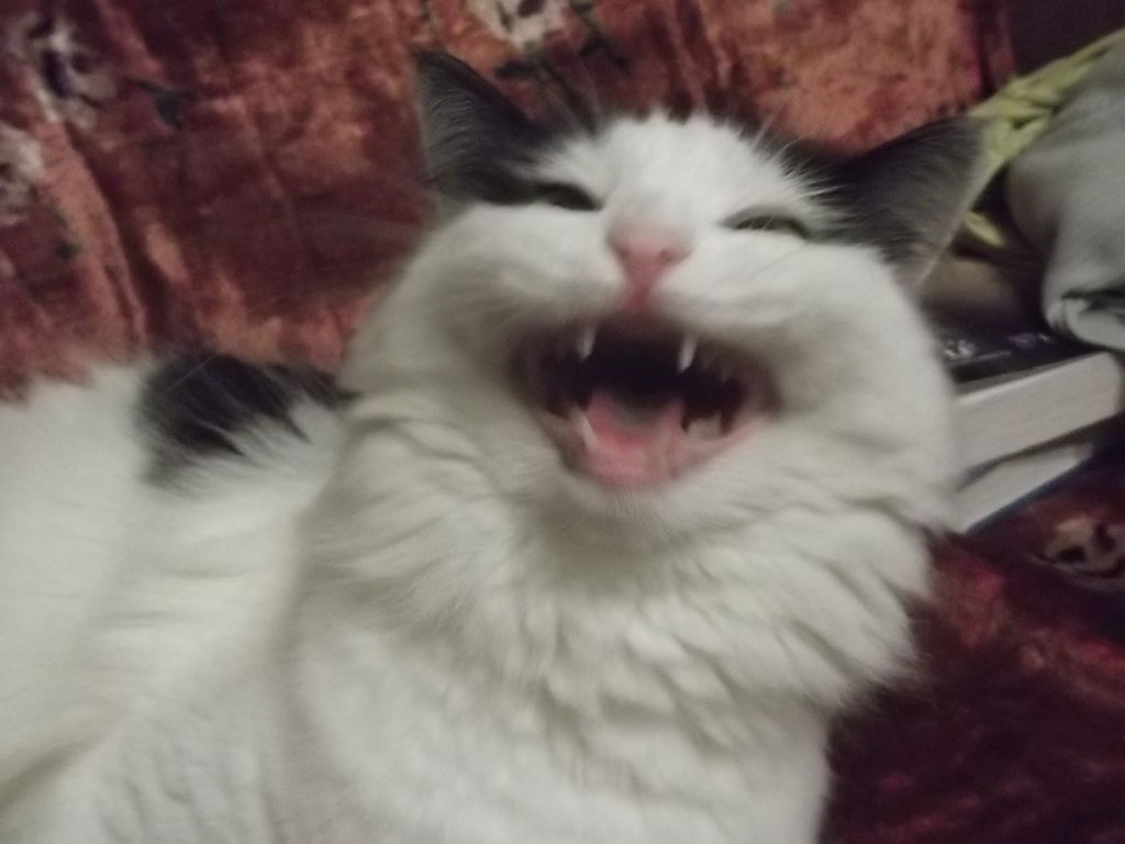 Инна Коровина