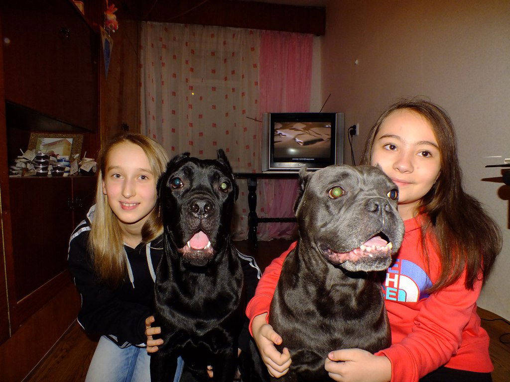 Макка Маккуся