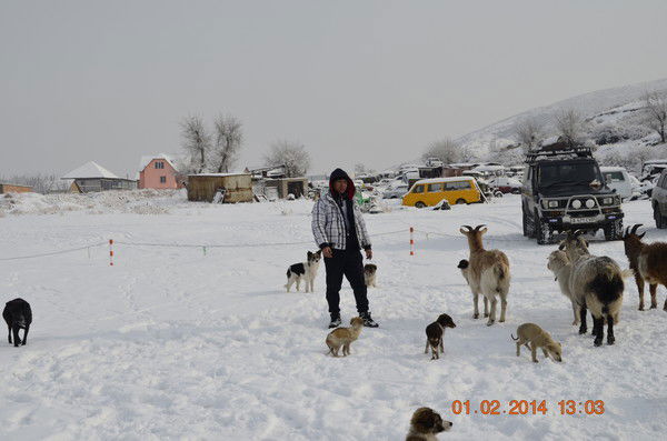 Карим Вилямов