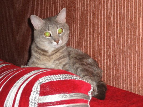 Надежда Копырина