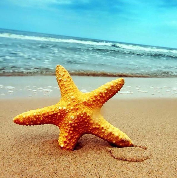 Елена Родионова