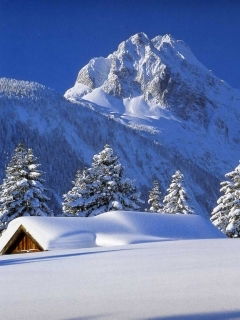 ** Виктория**