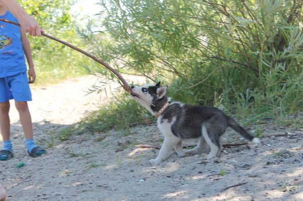 Наталья Петрова