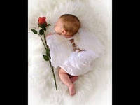 Елена Огиенко