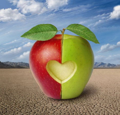 Алена Андреева