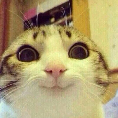 Иван Плотник