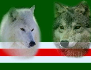 Аслан Базуркаев