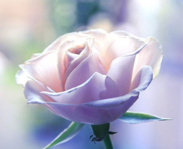 Анастасия Григорьева